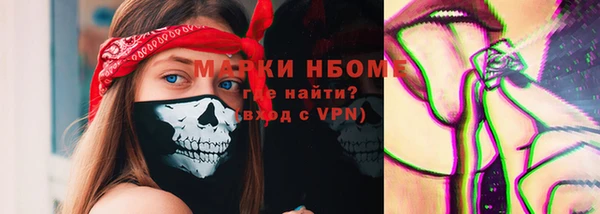 винт Гусь-Хрустальный