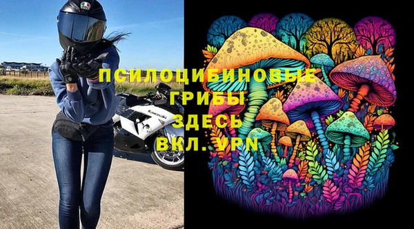 молекула духа Дмитровск