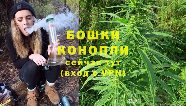 молекула духа Дмитровск