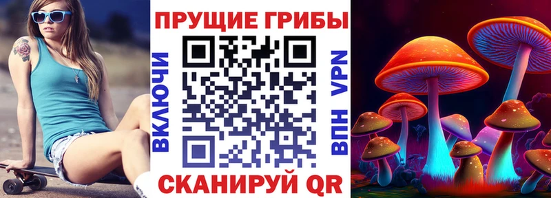 Псилоцибиновые грибы GOLDEN TEACHER  Купить где  Острогожск 